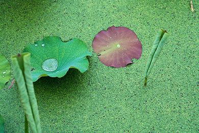 《碧蓝幻想：Relink》主线流程15-20小时 通关有追加剧情